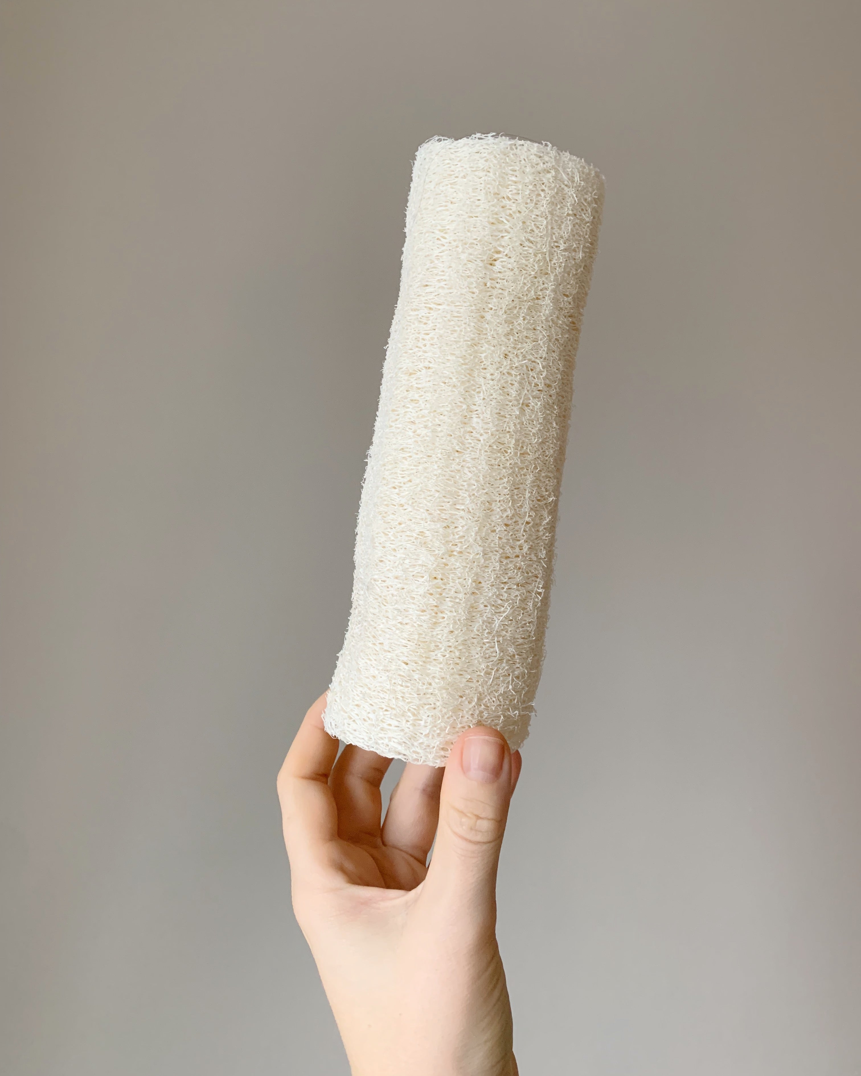 Loofah Svamp