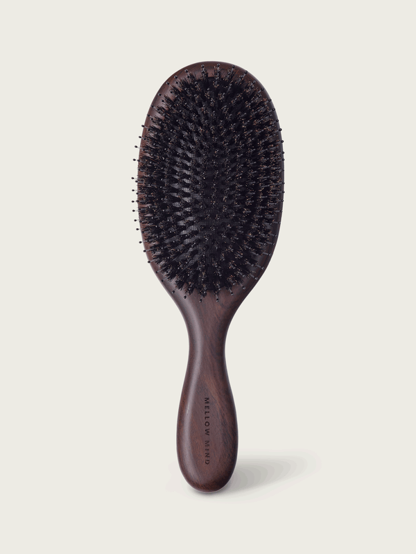 Hair Brush/Everyday