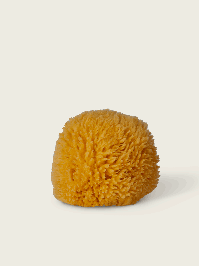 Natural bath sponge