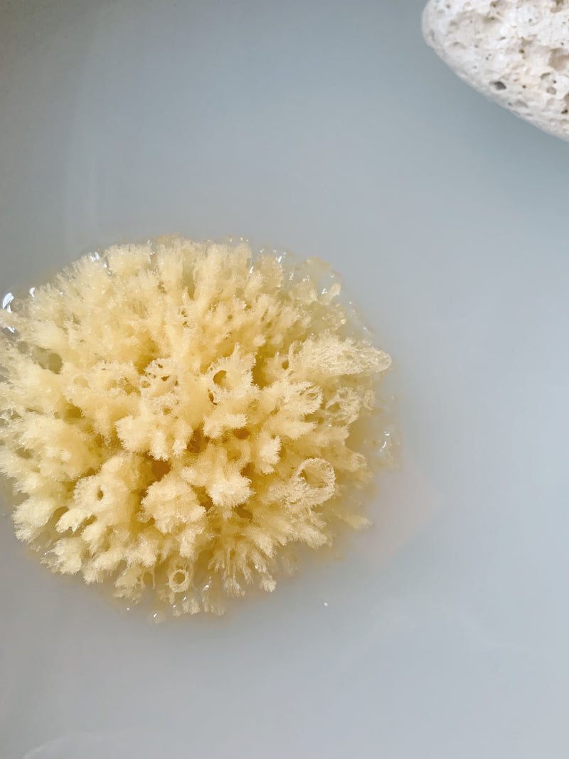 Natural bath sponge