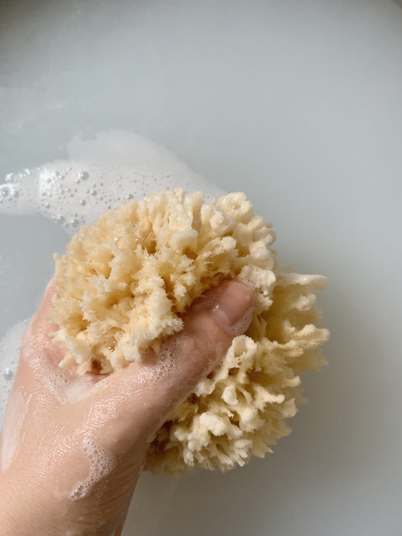 Natural bath sponge